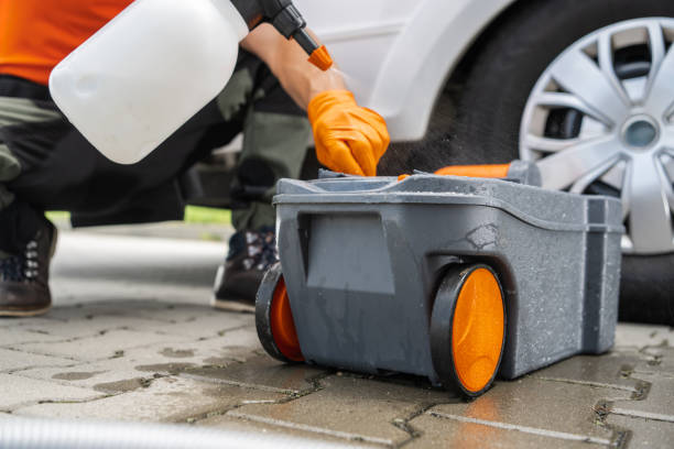 Best Lawn Disease Treatment  in Blaine, TN